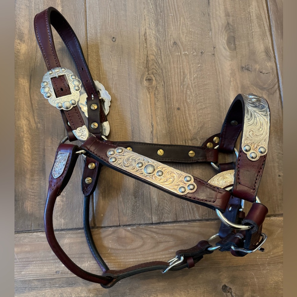 Kathy’s Show Halter Congress Cut Mare Size with lead and bag